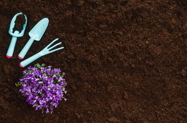 istock Gardening tools on garden soil texture background top view 934598110
