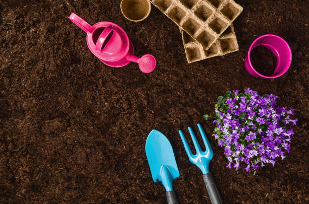 istock Gardening tools on garden soil texture background top view 934600584