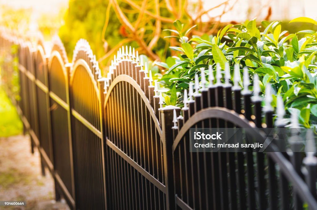 Metal fence Black iron fence and sunlight Fence Stock Photo
