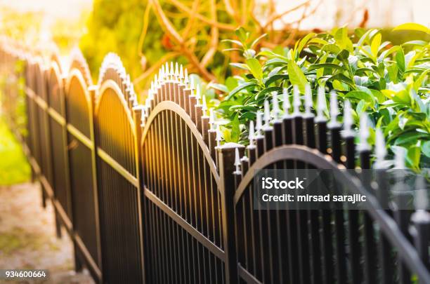 Metal Fence Stock Photo - Download Image Now - Fence, Metal, Beauty