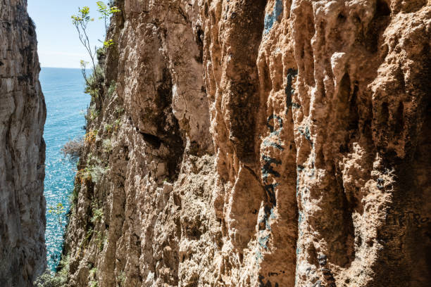 A Colorful Climbing Wall Meets the Sandy Beach: An Artistic Fusion of Adventure and Nature