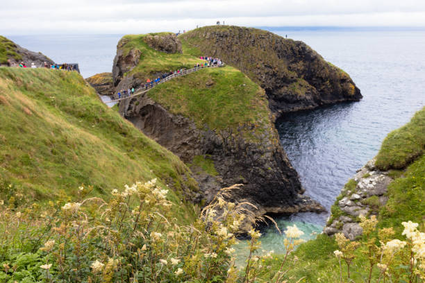 istock Rope bridge,Northern Ireland 934600886
