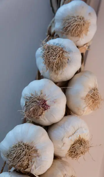 Photo of A garlic braid