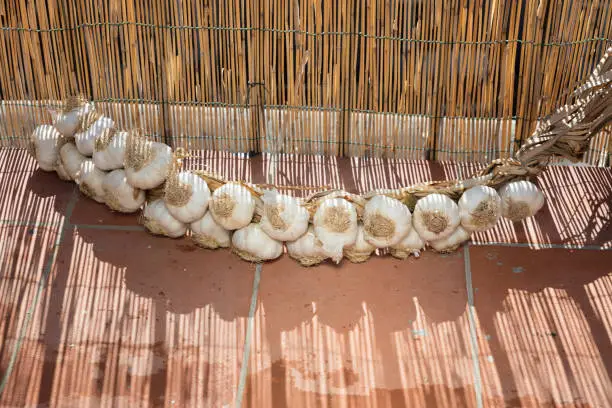 Photo of A garlic braid