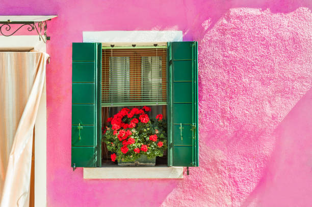 istock Pink wall and window with green shutters. 934603206