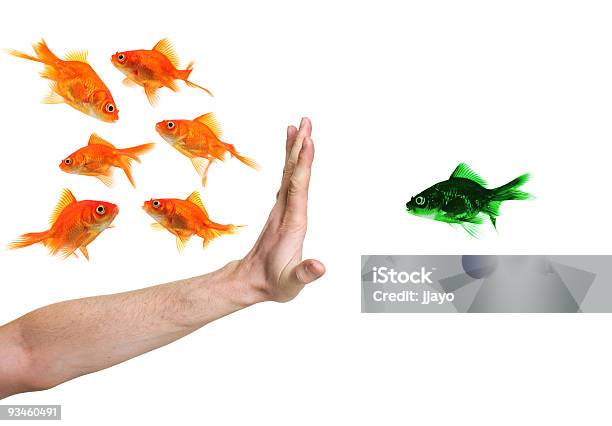 Foto de Mão Exigentes Verde Goldfish e mais fotos de stock de Segregação - Segregação, Preconceito, Desequilíbrio