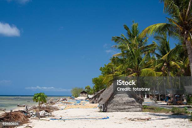 Foto de Algas Cultura Bali e mais fotos de stock de Aldeia - Aldeia, Alga marinha, Areia