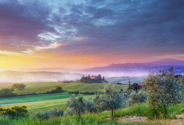istock Landscape in Tuscany at sunrise 934607696