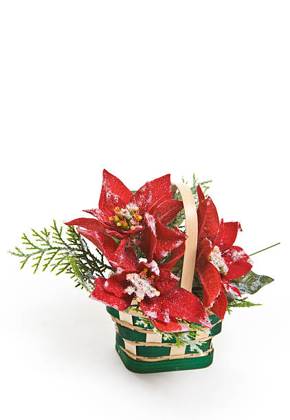 istock Poinsettas in a Basket 93460806