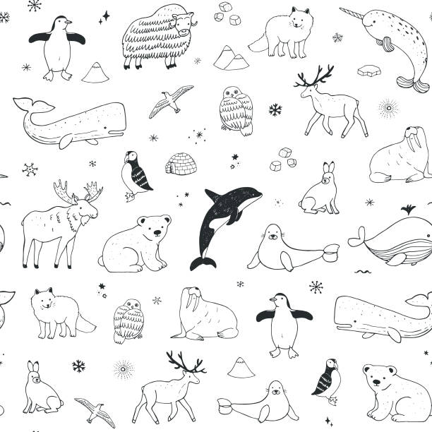 북극과 남극 북극 낙서 만화 동물 원활한 패턴 - 일각돌고래 stock illustrations