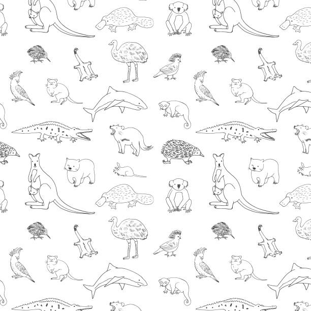 Australian animals set. Cartoon animals zoo vector pattern. Australian animals set. Cartoon animals zoo vector hand drawn pattern. wombat stock illustrations