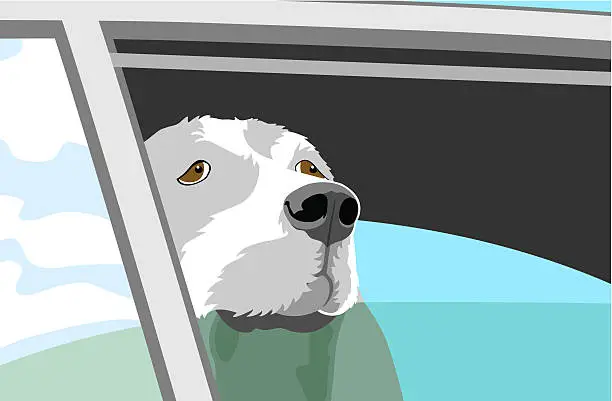 Vector illustration of Dog Waiting
