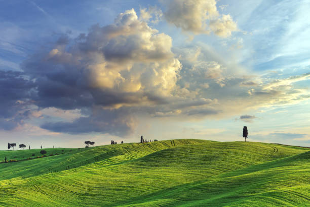 Green hills in Tuscany