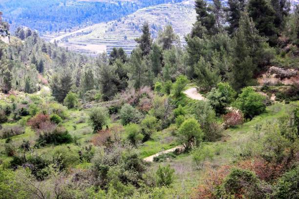 istock colors of Israel 934613854