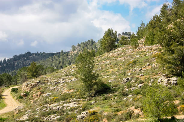 istock colors of Israel 934614276
