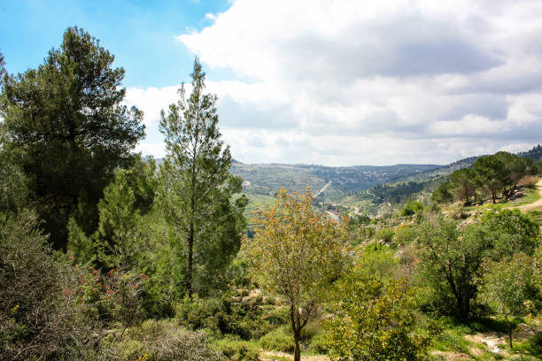 colors of Israel