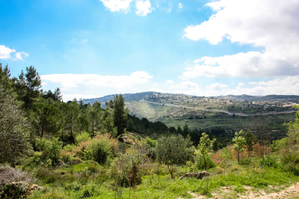 istock colors of Israel 934614298