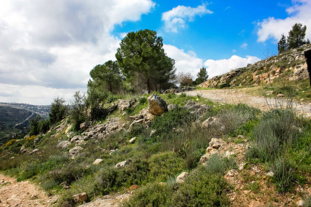 istock colors of Israel 934614360