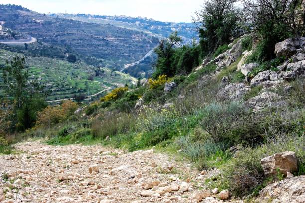istock colors of Israel 934614370