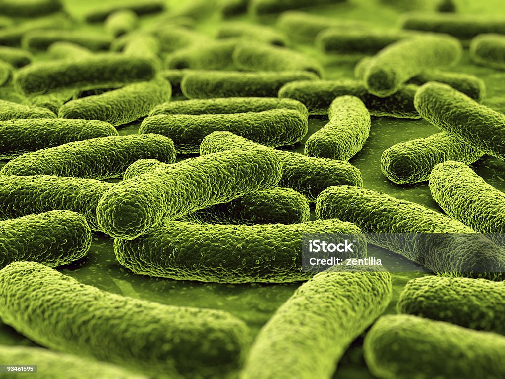 Bactérias - Royalty-free Bactéria Foto de stock