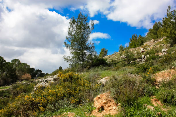 istock colors of Israel 934616376