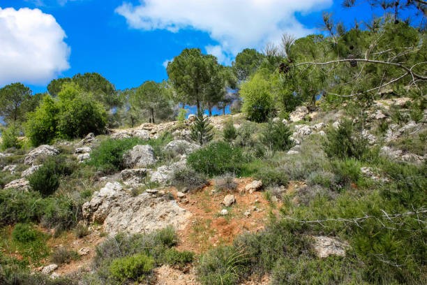 istock colors of Israel 934616460