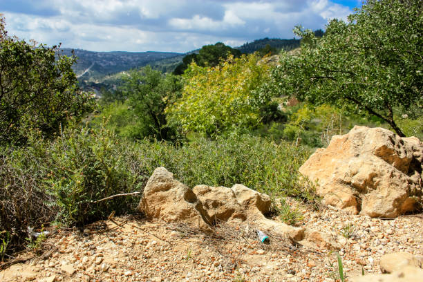 istock colors of Israel 934616520