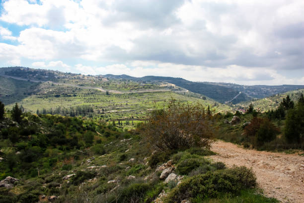 istock colors of Israel 934616614