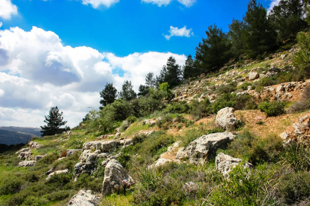 istock colors of Israel 934616740