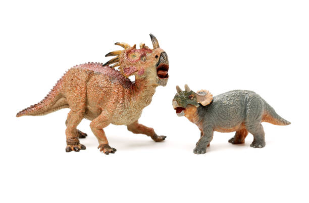 istock Stilacosaurus dinosaur figure with a white background Toy 934619546