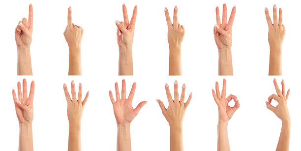 Female hands counting from 1 to 6 stock photo