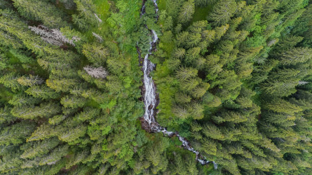 istock Tumultuous Waterfall (Zbuciumata Waterfall). Fagaras Mountains, Romania 934623860