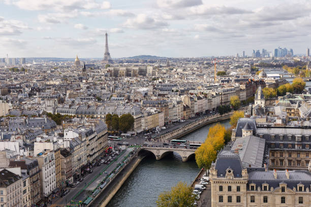 istock Paris seen from the top of Notre Dame 934624230