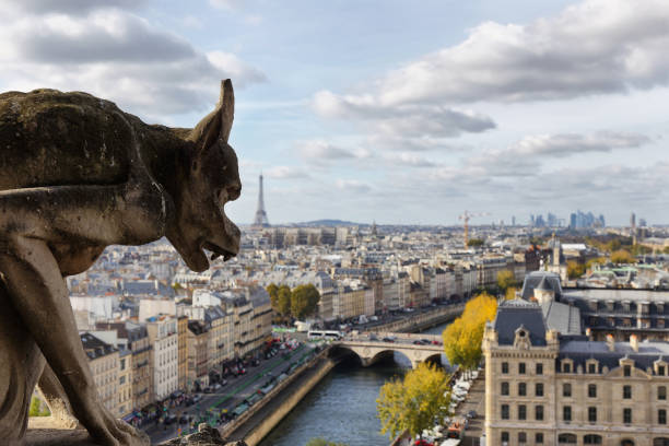 istock Paris seen from the top of Notre Dame 934624232