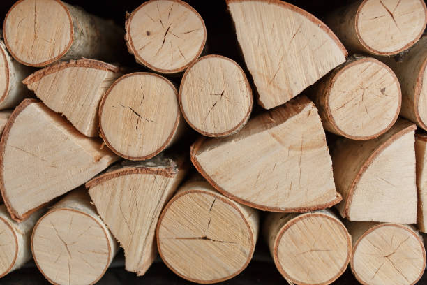 istock Background of dry chopped firewood logs in a pile. Close-up texture 934630932