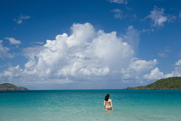 istock Sunny day at Caribbean beach. 93463274