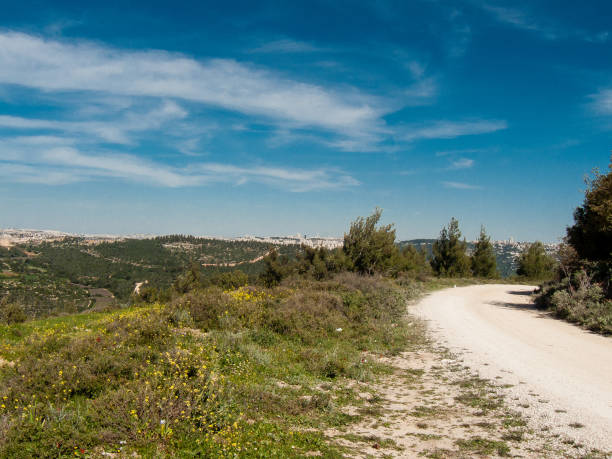 istock colors of Israel 934633394