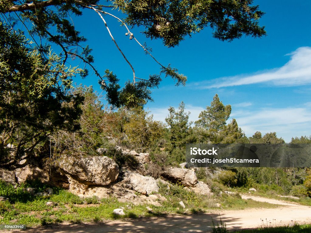 colors of Israel Nature and landscape around Jerusalem in Israel Agricultural Field Stock Photo