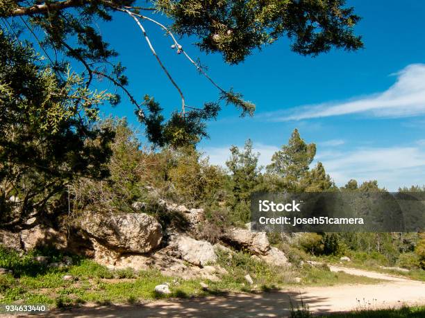 Colors Of Israel Stock Photo - Download Image Now - Agricultural Field, Ancient, Backgrounds