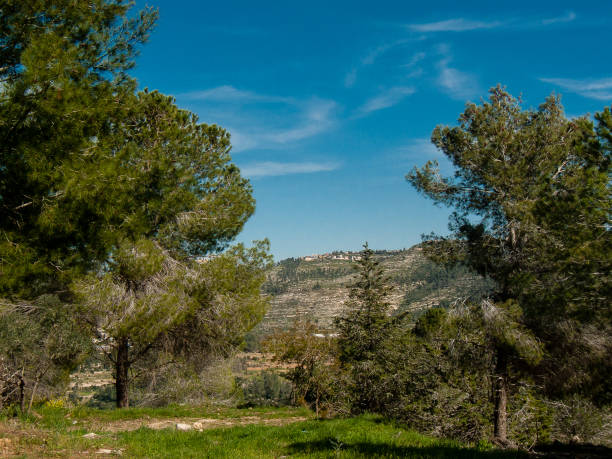 istock colors of Israel 934633458