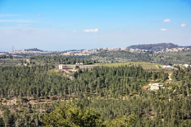istock colors of Israel 934633482