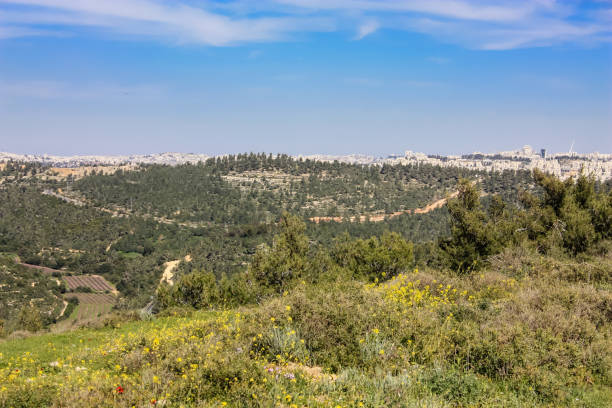 istock colors of Israel 934633508