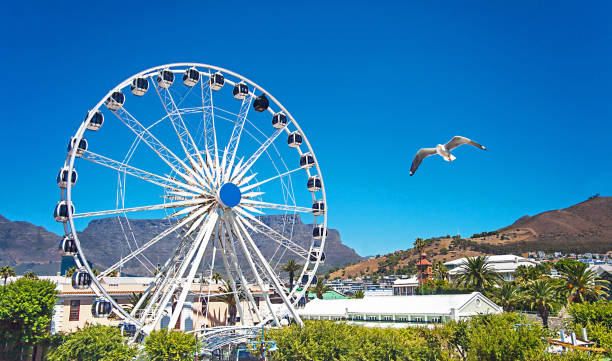 istock On the waterfront in Cape Town overlooking Table Mountain 934634790