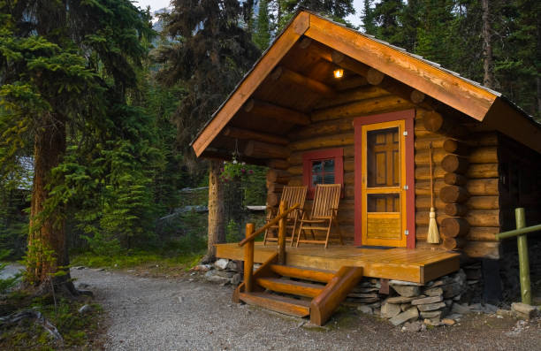 Log Cabin In The Forest Log cabin deep in the forest in Yoho National Park, British Columbia, Canada. cabin stock pictures, royalty-free photos & images