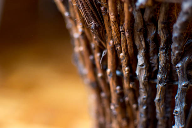 Dry twig close up basketry