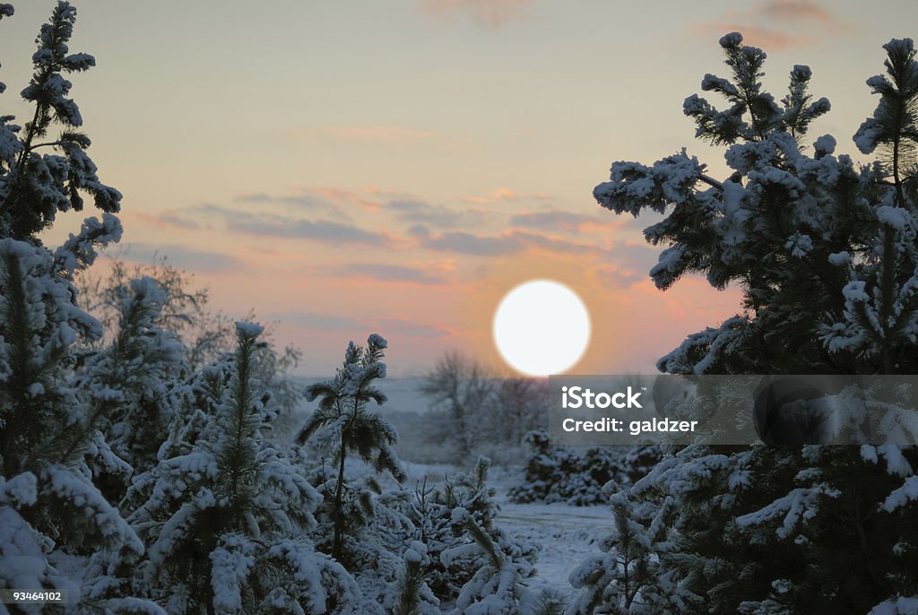 winter Sonnenuntergang - Lizenzfrei Abenddämmerung Stock-Foto