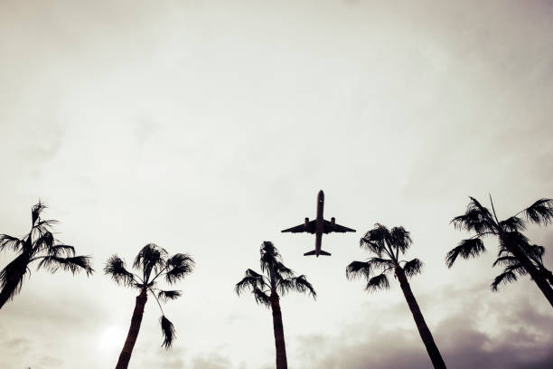 istock travel by flight in tropical place 934643342