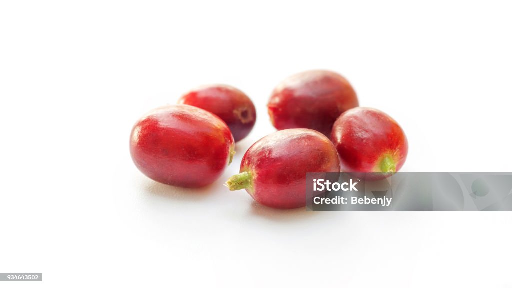 Close up of a fresh coffee bean on a white background. Agriculture Stock Photo