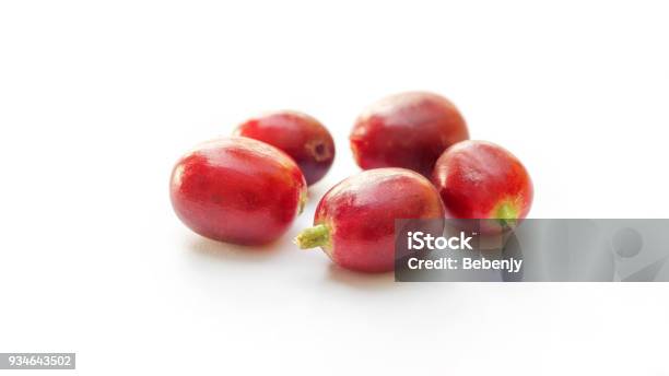 Close Up Of A Fresh Coffee Bean On A White Background Stock Photo - Download Image Now