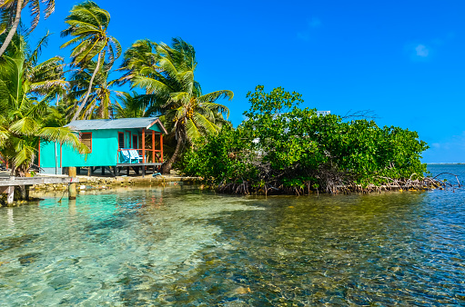 Tobacco Caye - Relaxing at Cabin or bungalow on small tropical island at Barrier Reef with paradise beach, Caribbean Sea, Belize, Central America